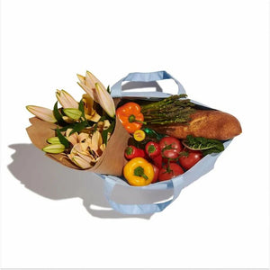 20 L Tag Along Tote